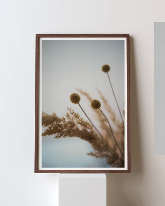 Minimal Botanical Grass | Frame 2x3 Ft